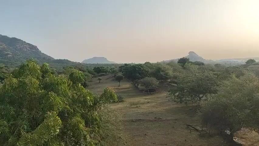 A wide-angle video captures a panoramic view of a landscape under a hazy sky with the sun prominently positioned in the upper right quadrant. The sun's rays create a lens flare effect, extending downwards and to the left. The terrain consists of gently rolling hills covered in sparse vegetation, predominantly trees with green foliage and some dry grasses. In the middle ground, a few trees are clustered together, and what appears to be a rudimentary shelter or structure with a thatched roof is visible amongst them. A single utility pole stands to the right of the frame. In the distance, a distinct rocky outcrop or hill rises from the otherwise undulating horizon. The overall impression is of a rural or undeveloped natural environment during daylight hours, possibly early morning or late afternoon given the sun's angle and the hazy atmosphere. There are no visible people or animals in the frame.