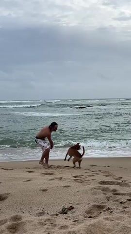 The video shows a man and a dog playing on a sandy beach near the ocean. The man, shirtless and wearing patterned shorts, is facing the dog. The dog, a medium-sized brown canine, is in a playful stance, looking towards the man. The ocean has waves and appears somewhat rough. The sky is overcast with clouds, suggesting a cloudy day. The scene is set on a beach with sand in the foreground and the ocean stretching to the horizon. The activity captured is a moment of interaction and play between a man and his dog by the sea. There is no visible text in the video. The general atmosphere seems relaxed and engaging, with the man and dog enjoying their time together in the coastal environment.
