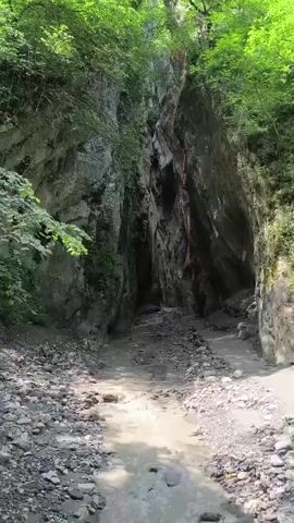 A narrow canyon with steep, rocky walls is shown. Lush green trees line the top of the canyon, with sunlight filtering through the leaves. A shallow, muddy stream flows through the center of the canyon, with a rocky, debris-strewn riverbed on either side. The ground appears to be a mix of dirt and loose stones.