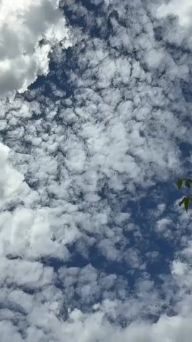 The video shows a view looking up at the sky filled with white clouds against a bright blue sky. The clouds are scattered and appear to be cumulus or stratocumulus in formation, with some areas showing denser formations and others with more spaced-out clouds. In the upper right and lower right corners, there are glimpses of green leaves and branches, indicating the presence of trees or foliage. The lighting suggests it is daytime, likely sunny. The camera angle is tilted upwards, capturing the vastness of the sky. There are no people or distinct objects visible in the sky itself. The video is static and does not show any movement of the clouds or other elements.