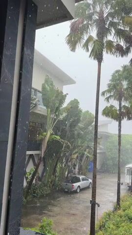 The video shows a rainy day in what appears to be a tropical location. Tall palm trees with sparse fronds dominate the foreground, swaying slightly in the wind and rain. A building with a modern architectural style, featuring dark vertical elements and white walls, is visible on the left. In the background, a paved area with parked vehicles, including a white pickup truck and a white shuttle bus, is wet from the rain. The overall atmosphere is one of heavy rainfall and overcast conditions.