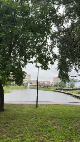 The video opens with a view of a park with a pond and trees. In the foreground, there are two large trees on either side, with lush green leaves. The camera pans up towards the trees and the sky, which is overcast. In the middle ground, a calm body of water is visible, with a fountain in the center. Beyond the pond, there are several buildings in the background, some appearing to be residential. A lamppost stands in the middle of the frame, near the edge of the pond. The overall impression is a tranquil, somewhat subdued natural setting with urban elements.