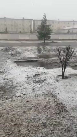 A video shows a view of a snow-covered landscape from indoors. There is a tree on the right without leaves and a second evergreen tree in the background. Two buildings are visible in the distance behind a wall. A road runs between the viewer's position and the wall. The ground is covered in a patchy mix of snow and dark dirt. A person walks down the sidewalk in the distance. Snow is falling.