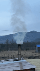 Rural scenes documented in remote Russian town Tyulyuk