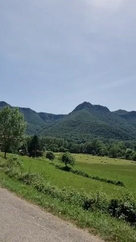 A handheld, slightly shaky video pans across a scenic landscape. The foreground shows a gravel or dirt road on the left, with a lush green bush and some wire fencing. Beyond that, a vibrant green field stretches out, dotted with several round hay bales. In the middle ground, a cluster of trees stands out. The background is dominated by rolling green hills covered in dense forest, with a prominent, flat-topped mountain or mesa in the center. The sky is a clear, bright blue with a few faint white streaks. The overall impression is of a rural, natural setting on a sunny day.