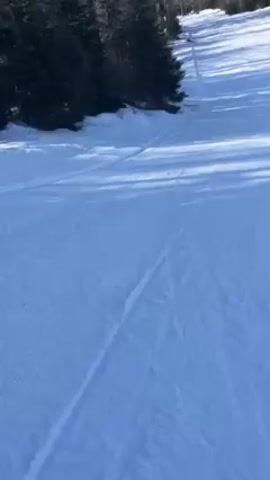 The video shows a first-person perspective of someone skiing downhill on a snowy slope on a sunny day.  The slope is wide and mostly groomed, with some tree shadows cast across the surface.  Trees line the sides of the slope, and mountains are visible in the distance.  The skier is making smooth turns, with a few minor bumps and grooves visible in the snow.