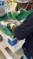 Surgical procedures documented across multiple Nairobi medical facilities