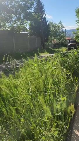 The video depicts a grassy, overgrown area next to a concrete fence on a sunny day. The grass is tall and green, moving gently in the breeze. Beyond the grass, there is a dirt road and a glimpse of an old, dark-colored vehicle parked in the distance. Trees are visible in the background, and a blue sky with scattered clouds can be seen above.