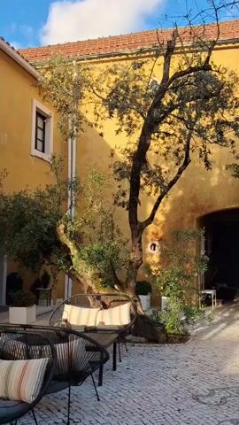 The video shows a sun-drenched courtyard paved with cobblestones. In the center is a large olive tree surrounded by seating and potted plants. A low, mustard-yellow building forms the backdrop, featuring arched doorways and windows with dark frames. Some of the courtyard is furnished with wicker chairs, wooden tables, and a large white patio umbrella. The camera slowly pans across the scene, revealing the layout of the outdoor space and its elements. The overall feel is tranquil and inviting.