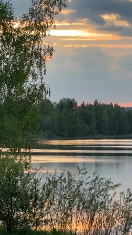 The video shows a tranquil lake at sunset. The water is calm with gentle ripples reflecting the colors of the sky.  A thick forest lines the far shore. Trees with green leaves frame the lake in the foreground on both sides. The sky is a mix of gray clouds and orange hues from the setting sun. The light of the setting sun reflects from the water's surface. There are no people visible.