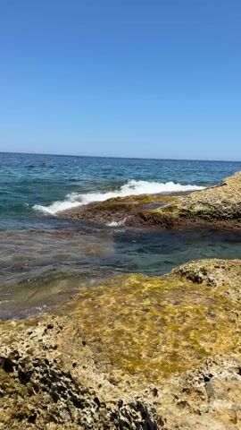 The video shows a rocky coastline with clear blue water. Waves crash against the rocks, creating white foam. In the distance, several people are visible swimming and sunbathing on the rocks and in the water. The sky is a clear, bright blue, indicating a sunny day. The rocks in the foreground are covered in patches of green and yellow algae. The camera pans slowly across the scene, capturing the natural beauty of the coastal environment and the leisurely activities of the people enjoying the beach.