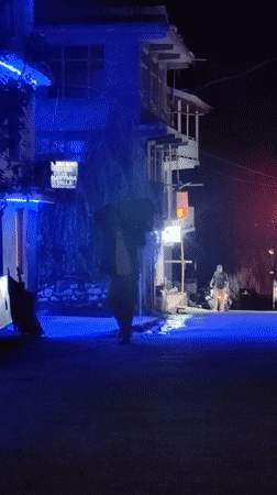 Barheta nightlife: neon-lit streets, cafes, and roaming dogs