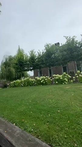 The video shows a boat moving along a canal. The canal is lined with wooden planks and grass. On the right side of the canal, there is a large lawn with a bed of white hydrangeas and trees. Behind the hydrangeas, there is a brick building with windows. On the left side of the canal, there are trees and a wooden bridge arching over the water. The sky is overcast. The boat is red and white with a blue interior and a rope is visible. The video captures the serene and picturesque landscape of a village.