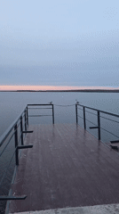 Two birds rest on pier railing in Chaikovsky