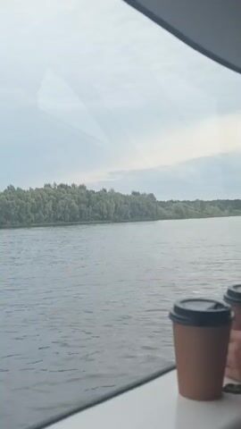 A first-person perspective video shows a river view through a window. Two disposable coffee cups, one with a black lid and another with a lid partially visible, sit on a white ledge in the foreground. A tea bag tag is visible on the right side of the right cup. The river is wide and calm, with a treeline on the opposite bank. The sky is overcast. The video pans slightly to the right.