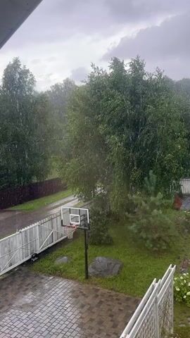 A video taken from above shows a basketball hoop and backboard situated in a backyard, surrounded by lush green grass. A cobblestone patio is visible in the foreground, with a white fence bordering the property. Several trees, including birch and pine, are scattered throughout the yard, and a dark, irregular-shaped rock rests on the grass near the hoop. The sky above is overcast with gray clouds, and visible streaks of rain are falling, creating a blurred effect on the trees and surrounding foliage. The scene is one of a rainy day in a residential outdoor space.