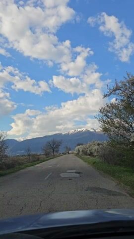 A road leads towards distant mountains with snow-capped peaks under a blue sky filled with fluffy white clouds. The road is cracked and shows signs of wear. Vegetation flanks the road, with some trees bare and others flowering. The view is from the perspective of someone inside a vehicle, showing a portion of the dashboard.