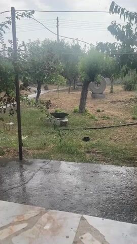 The video captures a courtyard scene during what appears to be rainfall. In the foreground, a wet, textured concrete patio is visible. Beyond the patio is a grassy area with several trees, some with visible fruit, and a large, circular stone object, possibly an old millstone, is positioned in the mid-ground. A thin black hose or pipe runs across the grassy area. The sky is overcast, and fine droplets of water are visible in the air, indicating precipitation. The overall impression is that of a backyard or garden experiencing a light shower.