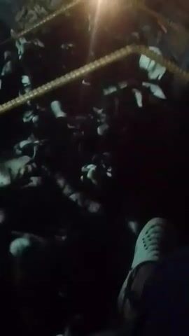 The video shows a dark environment, possibly indoors, with what appears to be a caged area filled with small animals, possibly birds, visible through a grid of metal bars. A single overhead light source illuminates the area. Part of a person's leg and foot wearing a light-colored sandal is visible in the lower right corner of the frame. An indistinct sound can be heard, with one person speaking, but the words are difficult to understand.