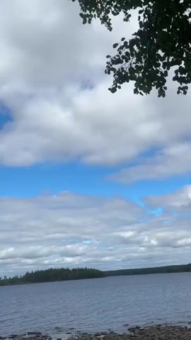This media file captures a serene outdoor scene at Yanisyarvi, Russia. The primary subjects are the natural elements: a vast body of water, a tree branch with dark green leaves in the foreground, and a wide expanse of sky filled with fluffy white clouds and patches of bright blue. The water is calm, reflecting the sky and suggesting a peaceful atmosphere. In the distance, a tree-lined shore forms a dark horizon against the lighter sky.

The time of day appears to be daytime, likely late morning or afternoon, given the brightness of the sky and the quality of the light. The weather is partly cloudy, with a mix of sun and shade created by the scattered clouds, contributing to a dynamic sky. The location is identified as Yanisyarvi, Russia, and the scene strongly suggests a lakeside or coastal environment within a natural, possibly forested, area.

There are no people or man-made objects prominently featured in the scene. The overall mood conveyed is one of tranquility and natural beauty. The focus is on the landscape and the interplay of light and shadow in the sky. No visible text is present in the media file.