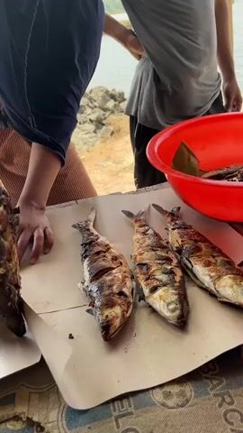 The video shows a close-up of grilled fish laid out on paper. In the background, a woman wearing a hijab and a brown dress is visible, along with a man in a grey shirt. There's a red bowl containing more fish. The setting appears to be outdoors, possibly near water. The woman's hands are near the fish, suggesting she might be serving or arranging them. The fish are whole and appear to be cooked over a grill, with visible char marks.