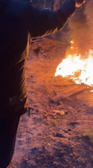 Person tends bonfire near wooden structure in Russian village