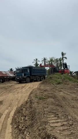 A wide shot shows a construction site with a large blue dump truck and a red excavator. The dump truck is positioned on a dirt road in the foreground, facing left. The excavator is in the background, to the right of the dump truck, actively scooping dirt into the truck's bed. Several palm trees are visible in the background. The sky is overcast.