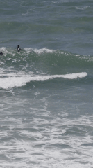 Morning scenes captured across Bat Yam beachfront cafes and surf