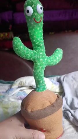 The video shows a plush toy cactus with googly eyes and a smiling face. The cactus is green with white polka dots and has two arms sticking out. It is placed in a brown pot with a brown band around the top. The cactus appears to be on a bed with a patterned blanket. The cactus moves its body and arms as if dancing and its mouth moves. There are also some red lights visible on the bottom of the pot. The background is blurry and appears to be a room with pillows or cushions. The audio consists of music and what sounds like a voice speaking or singing.