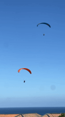 Two paragliders spotted soaring in clear blue skies