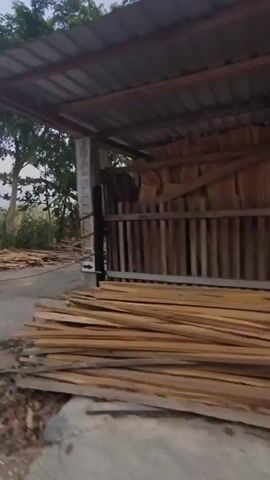The video shows a roadside view of a lumberyard. In the foreground, piles of raw lumber are stacked in front of a covered shed. The shed has a corrugated metal roof supported by wooden beams and metal poles. Inside the shed, more lumber is visible, along with a large wooden door that is partially open. Further back, stacks of cut logs are organized, suggesting a timber processing operation. The environment appears to be outdoors, with trees and vegetation visible in the background. The lighting suggests it is either early morning or late afternoon. No people are directly visible in the frame, though the presence of the lumberyard implies human activity related to woodworking or construction. The scene is somewhat unkempt, with debris on the ground. In the latter part of the video, the view shifts to show a small office building with a blue gate and a larger blue-paneled structure, possibly a warehouse or workshop, adjacent to it. This building is also part of the lumberyard complex.