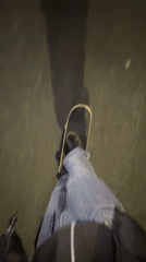 Late night skateboarding captured in Buenos Aires streets