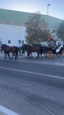 A horse-drawn carriage with four horses is crossing a street. The carriage is black with yellow spoked wheels and has two people in it, a driver and a passenger. The driver is wearing a hat and a grey jacket, and the passenger is wearing a dark suit and a hat. The horses are brown and are harnessed together in pairs. The street is paved and has white pedestrian crossing markings. In the background, there is a large white building with a green roof and some trees. The sky is blue. The scene appears to be in an urban environment.