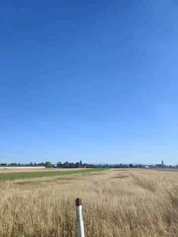 The video pans across a vast, clear blue sky above a rural landscape. In the foreground, a field of dry, golden wheat stretches towards the horizon. To the left, a field of green crops, possibly sunflowers, contrasts with the wheat. In the distance, a cluster of buildings and a church spire are visible. The camera continues to move, revealing more of the agricultural fields and a few sparse, leafless trees in a barren field. The overall impression is one of an open, agricultural countryside under a bright, cloudless sky.