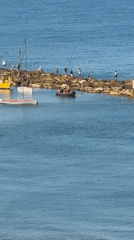 Early morning fishing and water activities in Netanya