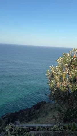 The video displays a wide shot of the ocean from a clifftop view. The water is a vibrant turquoise near the shore, transitioning to a deeper blue further out. Waves are seen gently crashing against rocky outcrops along the coastline. Vegetation, including trees and grasses, frames the foreground and the edges of the cliff. The sky is clear and blue, indicating fair weather. The camera appears to be panning slowly to the right, revealing more of the coastline and the expansive ocean. There are no people or discernible man-made objects other than a suggestion of a simple wooden fence or railing in the lower-left corner of the initial frames. The overall impression is one of natural coastal scenery.