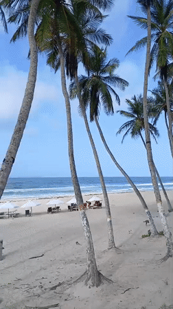 Animation team explores Playa El Agua resort on a June evening