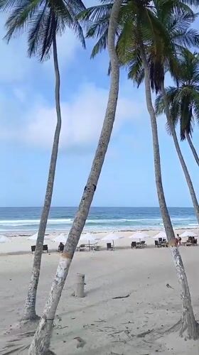Animation team explores Playa El Agua resort on a June evening