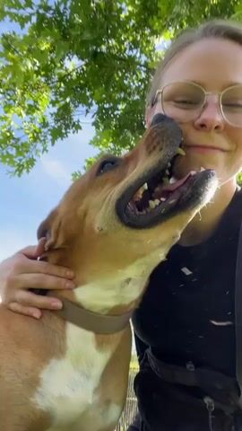 A young woman with blonde hair and glasses is outdoors in a park, with green trees and a blue sky in the background. She is holding a brown dog with white markings around its neck. The dog is licking the woman's face. The woman is smiling and closing her eyes. She is wearing a black t-shirt and a black fanny pack.