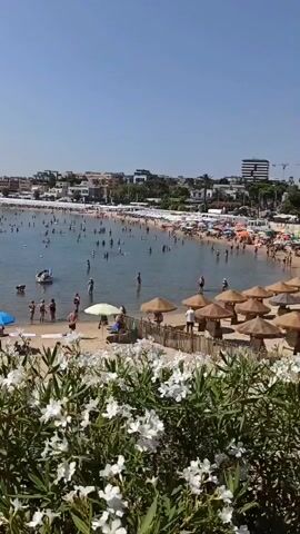 This is a high-angle, stabilized video of a crowded beach on a sunny day. In the foreground, out-of-focus white flowers and green foliage are visible. The middle ground features numerous thatched umbrellas, a wooden fence, and sandy areas. Beyond the umbrellas, a wide, busy beach extends along a calm body of water. Many people are swimming, wading, or standing in the water. Along the shoreline, there are rows of white beach umbrellas and lounge chairs. Several buildings, including hotels and houses with white walls and terracotta roofs, are visible in the background, surrounded by trees and palm trees. The sky is clear and blue. A small white boat is moored in the water.