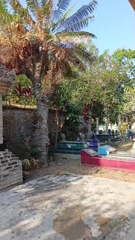 The video shows a courtyard with several gravesites and a prominent brick structure. A tall palm tree with some dried fronds stands near the center of the frame, partially obscuring some of the graves. To the left, there is a partially constructed brick building with a sweeping brush leaning against it. In the middle ground, there are several graves, some with colorful decorations. A person wearing a black jacket and pants is sitting on the ground to the left of the brick structure, facing away from the camera. The sky is clear and blue. The overall scene suggests a cemetery or a memorial site.