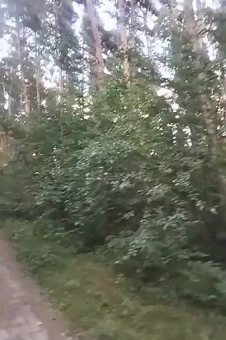 The video shows a dirt path in a forest. The path is on the right side of the frame and curves to the right. There are trees and bushes on both sides of the path. The trees are tall and thin, and the bushes are green and leafy. The lighting suggests it is daytime, possibly late afternoon, with sunlight filtering through the trees. The camera appears to be moving along the path.