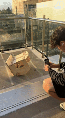 Mexico City residents document wooden craft assembly on balcony