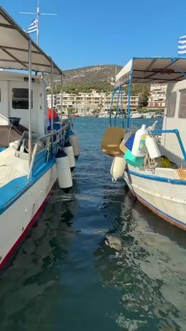 The video shows two boats docked side-by-side in a harbor. The boats are white with blue trim and have canvas covers over their decks. Both boats have Greek flags flying from poles. There are several buoys attached to the sides of the boats. In the background, there are buildings on a hillside and other boats in the harbor. The water is a deep blue and appears calm. The sky is clear and blue. The video appears to be filmed from the perspective of someone standing on a dock or another boat.