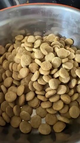 A close-up shot shows dry dog food in a metal bowl. Water is poured into the bowl, covering the food. The video shows the process of soaking dog food.