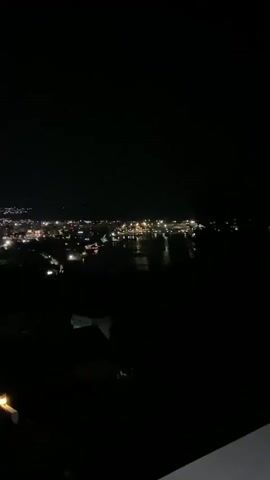 A still nighttime video shows a dark, silhouetted foreground of trees and a structure with a single light source at the bottom left. Beyond the foreground, a cityscape is visible with numerous lights illuminating buildings and streets. The city appears to be situated near a body of water, indicated by a subtle reflection of lights. The sky is completely dark with no visible stars or celestial bodies. The overall ambiance is tranquil and serene.
