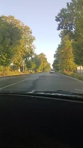 This is a first-person perspective video from inside a vehicle, looking out the windshield. The vehicle is driving on a paved road, with a lane marking visible on the left side of the road. On both sides of the road are mature trees with green and yellow foliage, suggesting it is either late summer or early autumn. The sky is clear and blue, indicating it is daytime. There are other vehicles on the road, including a white SUV visible ahead in the distance. The road appears to have some patches and imperfections. The interior of the vehicle, specifically the dashboard and windshield frame, is visible in the foreground, obscuring the bottom portion of the frame. The overall environment suggests a rural or suburban setting with tree-lined roads.