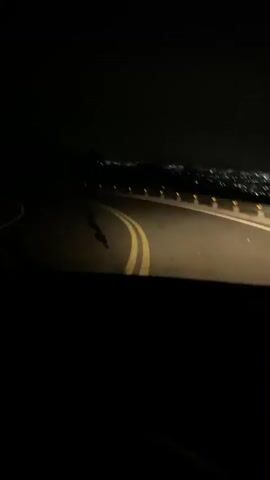 The video shows a nighttime view from the perspective of a vehicle traveling on a winding road. The road has double yellow lines dividing the lanes and a white line on the right edge. Guardrails with yellow reflectors are visible along the right side of the road. In the distance, faint lights suggest a town or city. The sky is completely dark, indicating it is nighttime. The headlights of the vehicle illuminate the road ahead, casting shadows and creating a sense of movement.