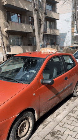 Cat naps on car roof in Bulgarian street