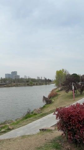 The video shows a view of a wide river with several modern buildings on the opposite bank. The sky is overcast. A paved path runs along the near bank of the river, with grass and some vegetation along the edge. The water is calm and grey.